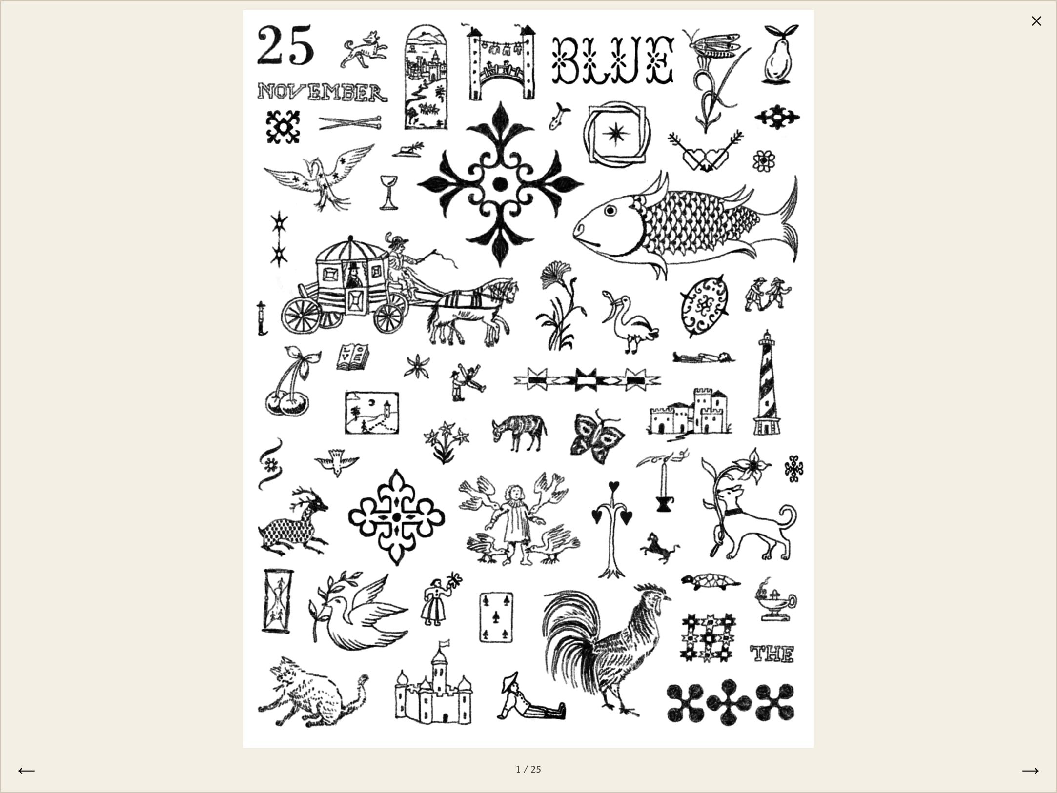 A single flash sheet opened full screen, with previous and next arrows and a 1 / 25 counter.
